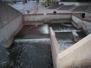 The Fish Ladder sculpture is a series of stepped pools that allow spawning fish to circumvent Sixth Street Dam. (PHOTO CREDIT: ArtPrize)