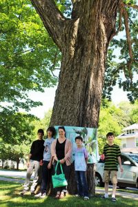 Angela Schmidt, training to become a citizen forester, often brings her family to park events. Here she and her sons (from left, Toby Stack, Salvador Mercado, Frank Stack and Theo Stack) stand in front of the 2016 Mayor’s Tree of the Year in Lincoln Park. PHOTO CREDIT: Urban Forest Project 