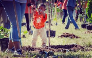Everyone can get in on the fun when it is tree-planting time.(Photo: The Greening of Detroit)