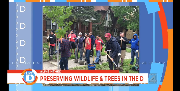 Preserving the outdoors in the D