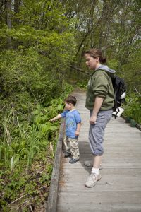 Michigan Trails Week is a great time to explore spots such as Pickerel Lake Park, operated by the Kent County Parks Department. PHOTO CREDIT: Amanda Pitts