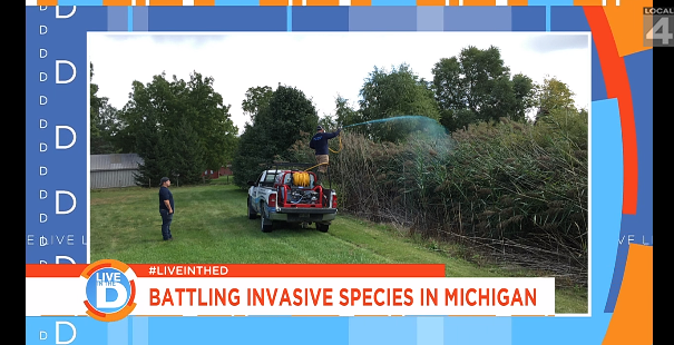 Battling invasive species in Michigan
