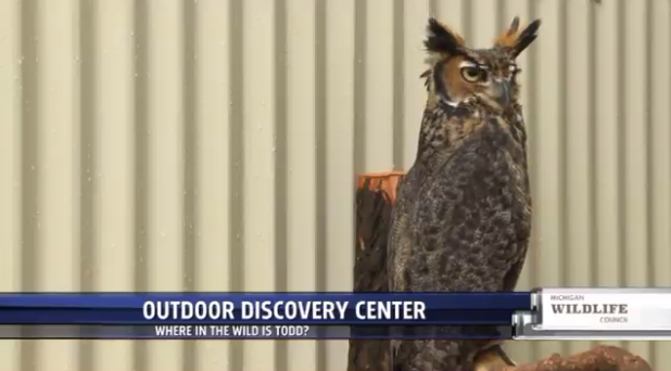 Birds of prey at the Outdoor Discovery Center
