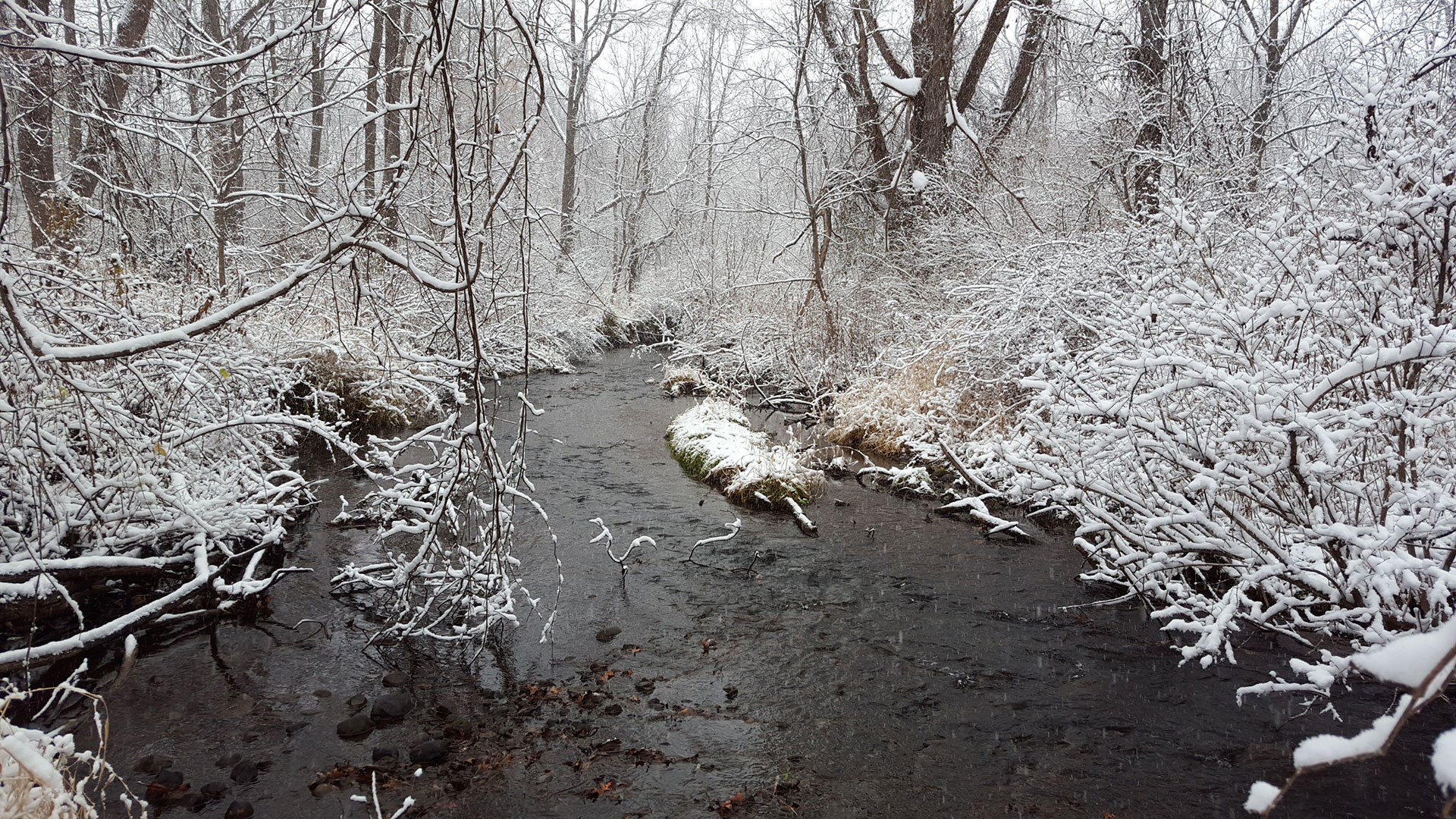 Get outdoors this winter in Oakland County