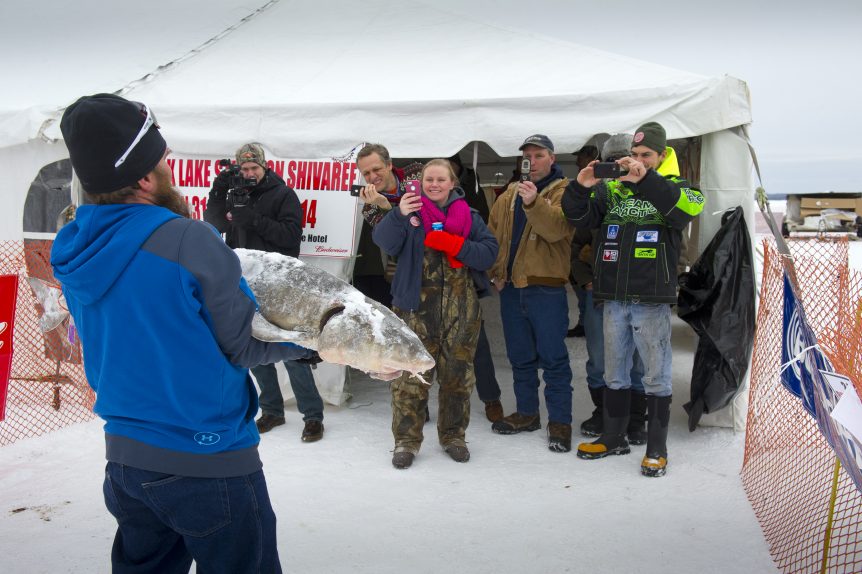Like a sturgeon Fishing on Black Lake Michigan Wildlife Council