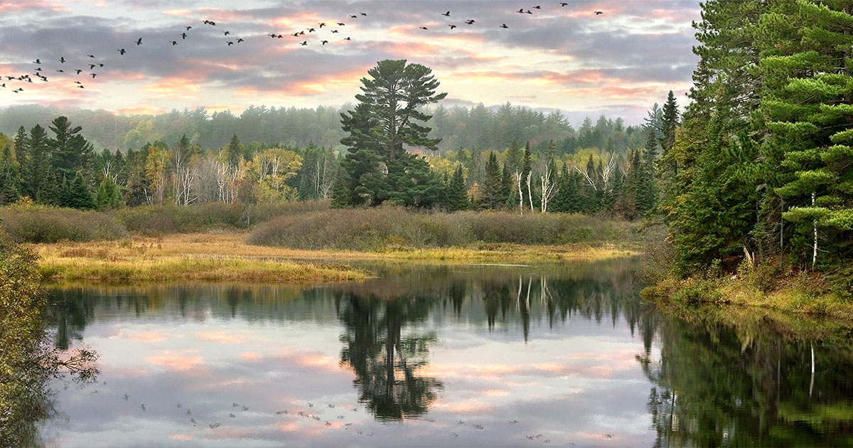Kayaking offers unique peek at Detroit Michigan Wildlife Council
