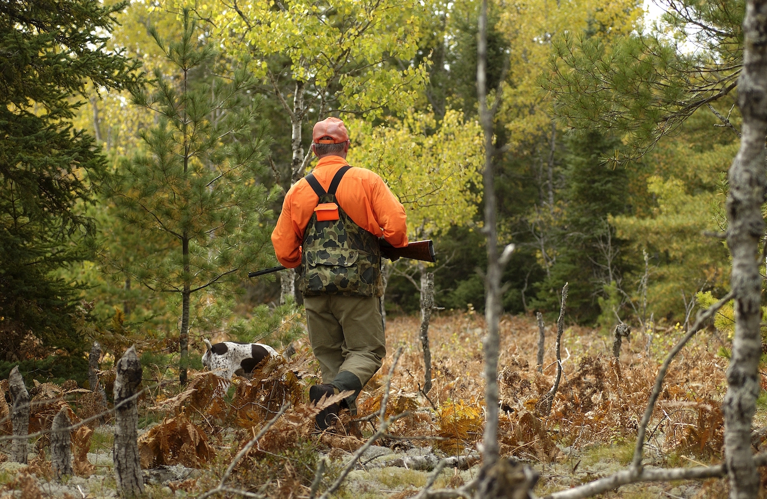 Hunting & fishing licenses sales on the rise; increase in female participation