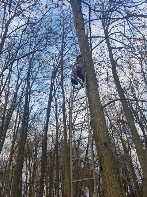 A young girl sitting in a tree stand while hunting