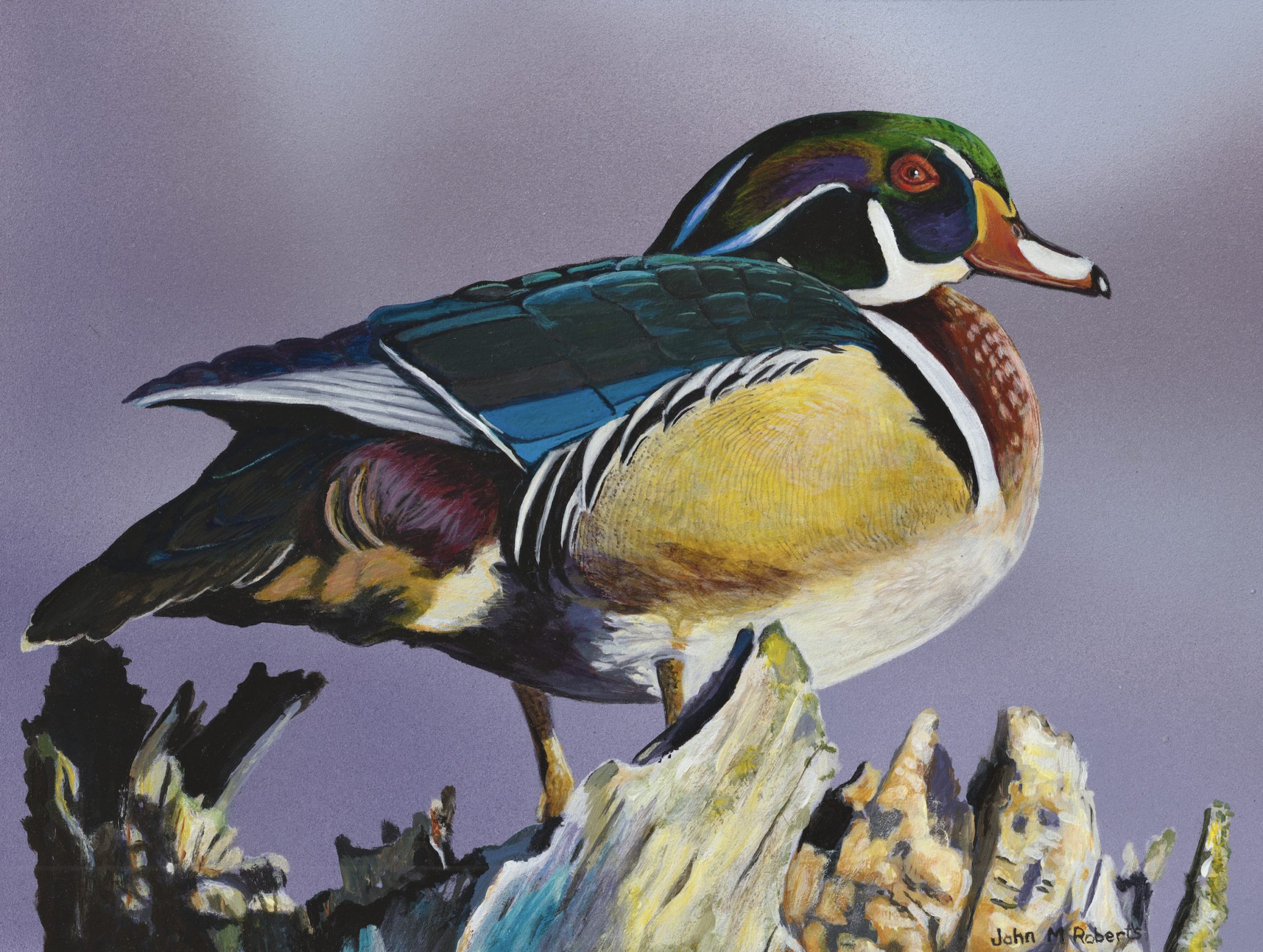 Don'T Miss This: Michigan Duck Season 2024 25 Details! - yw66wiv