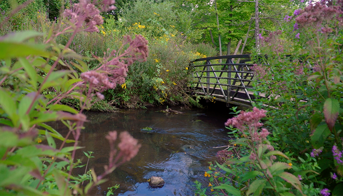 River Re-Born: The Revitalization of Portage Creek at Milham Park