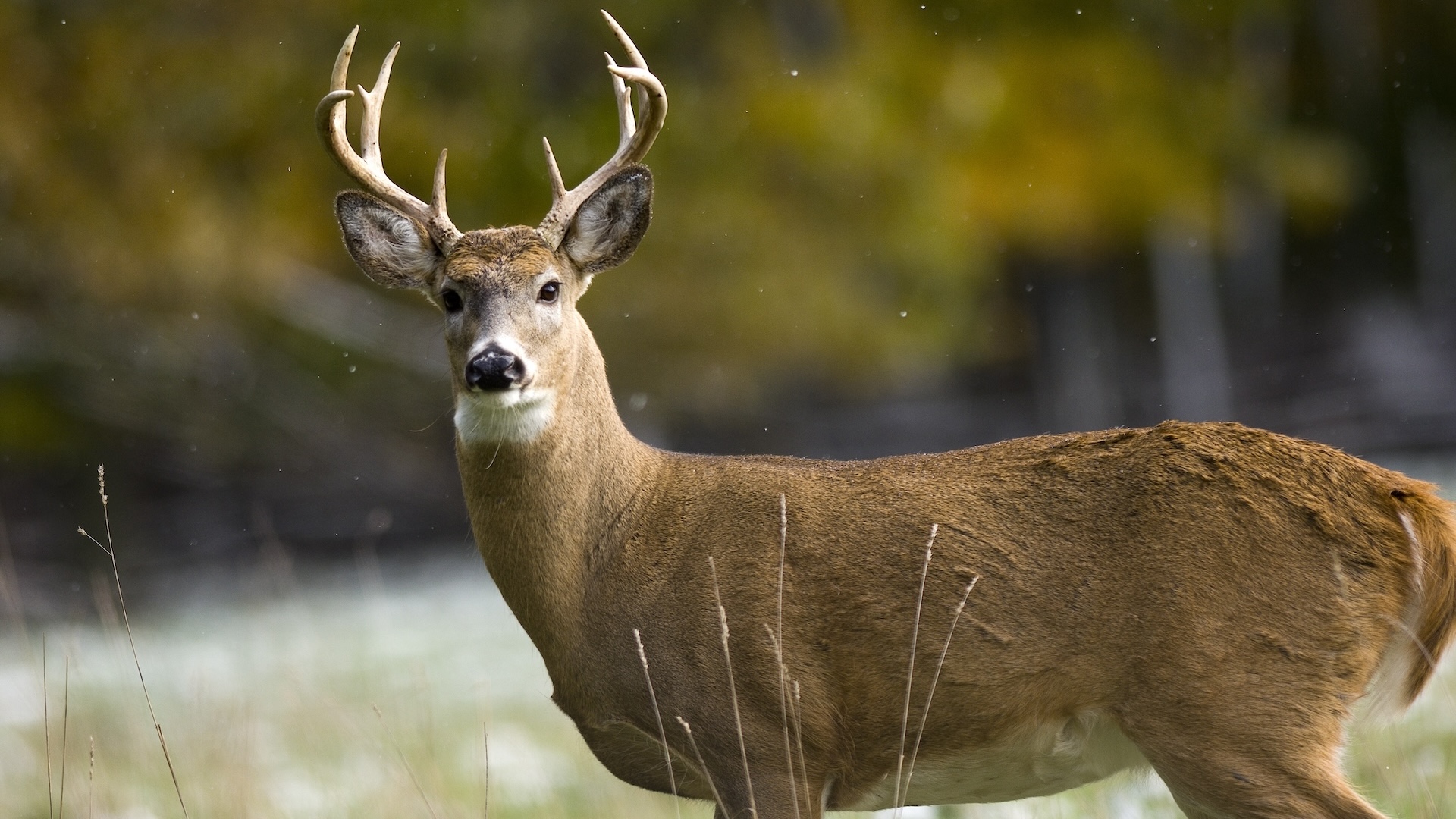 Deer hunters are the ‘ultimate teammate’ for all outdoor lovers